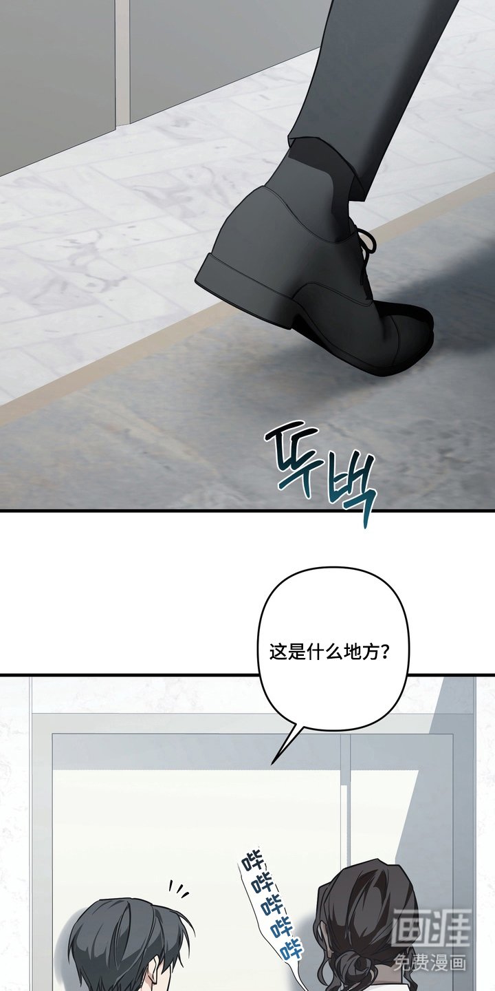 第8章：该走了