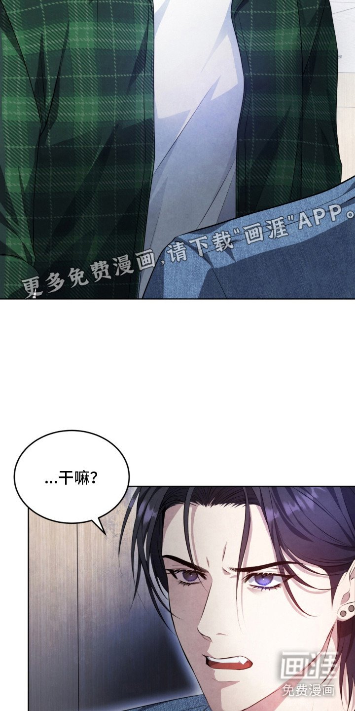 第1章：阿尔法学院