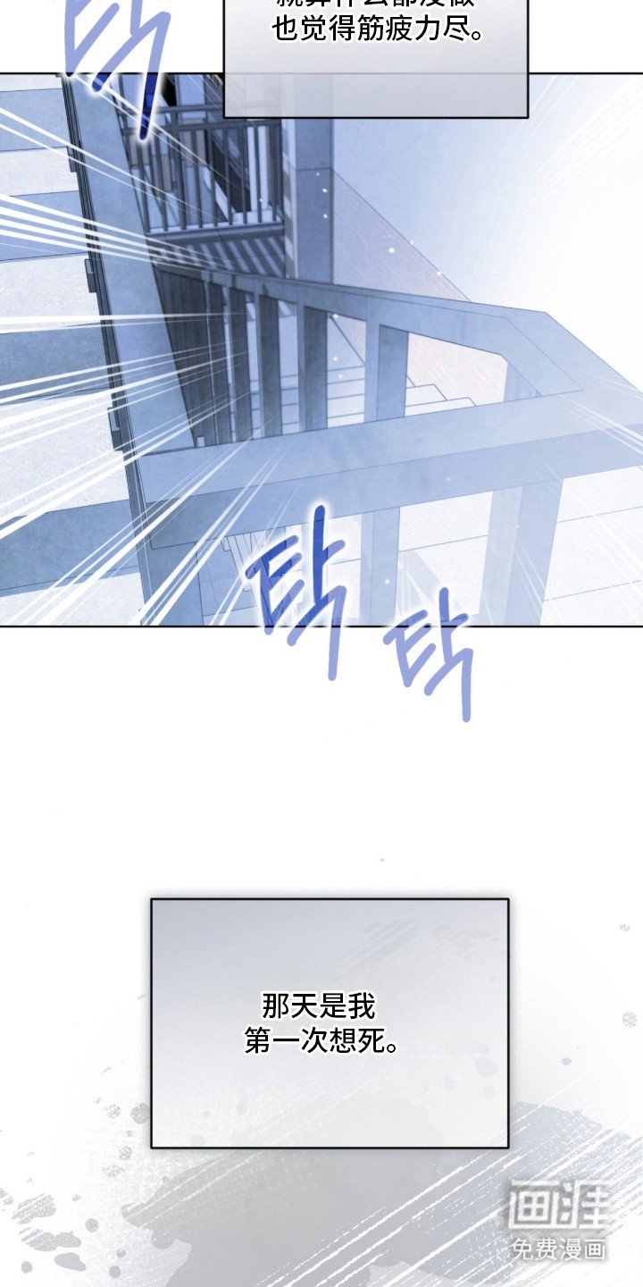 第10章：信息素