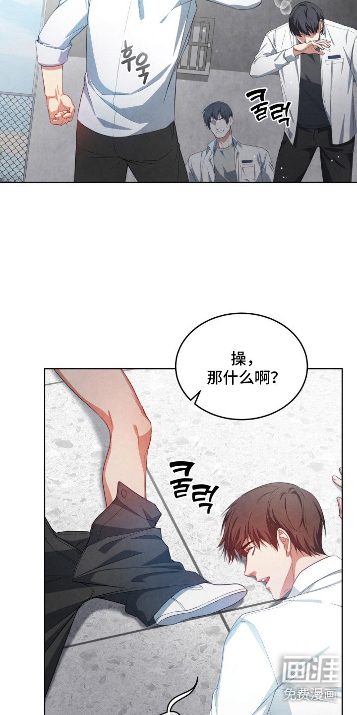 第10章：信息素