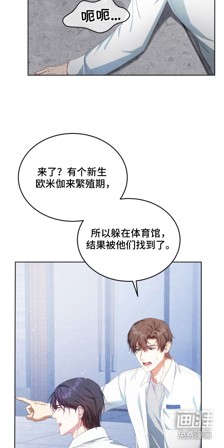 第10章：信息素