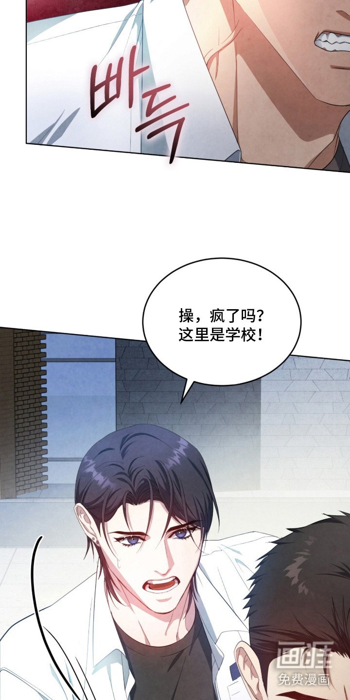 第10章：信息素
