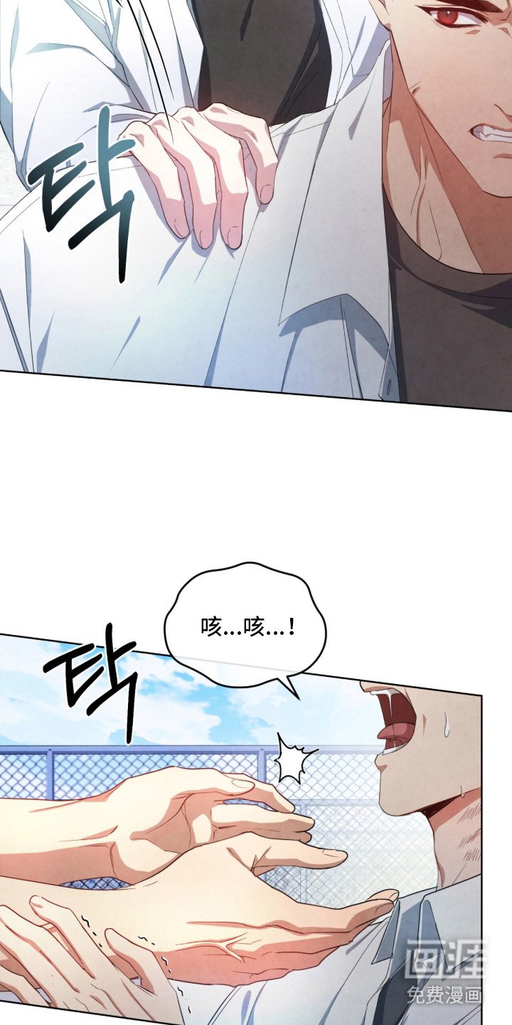 第10章：信息素
