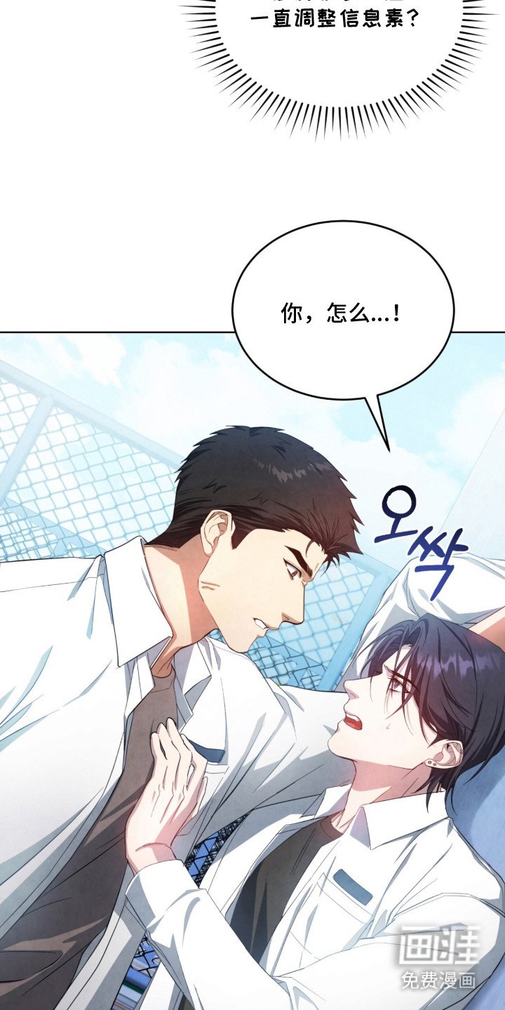 第10章：信息素
