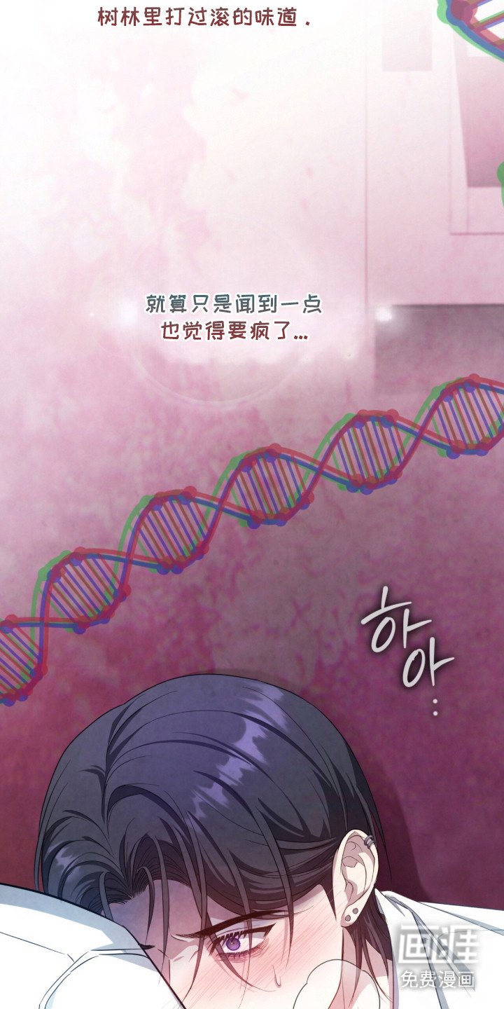 第10章：信息素