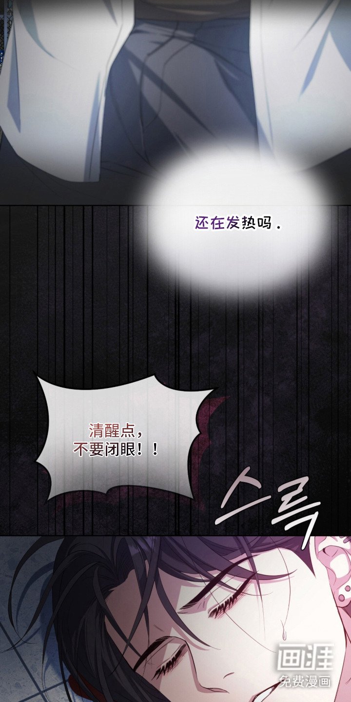 第11章：果决