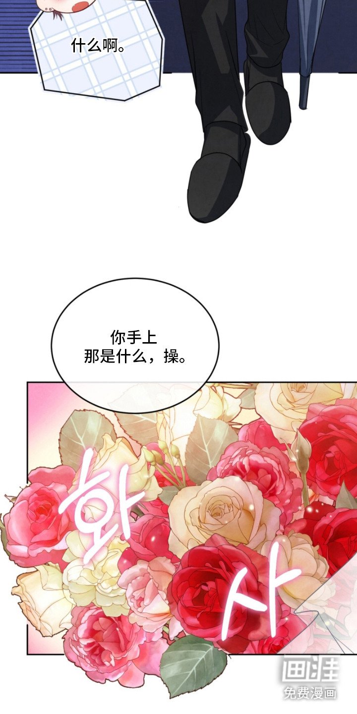 第13章：探望