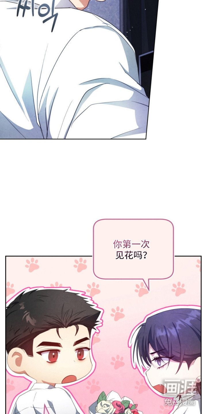 第13章：探望