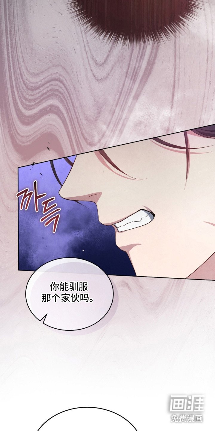 第17章：VIP