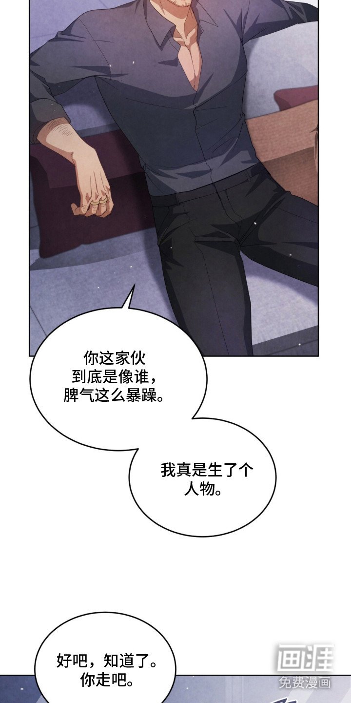 第17章：VIP