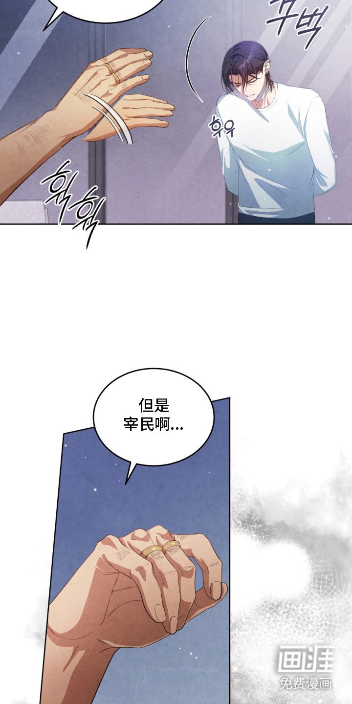第17章：VIP