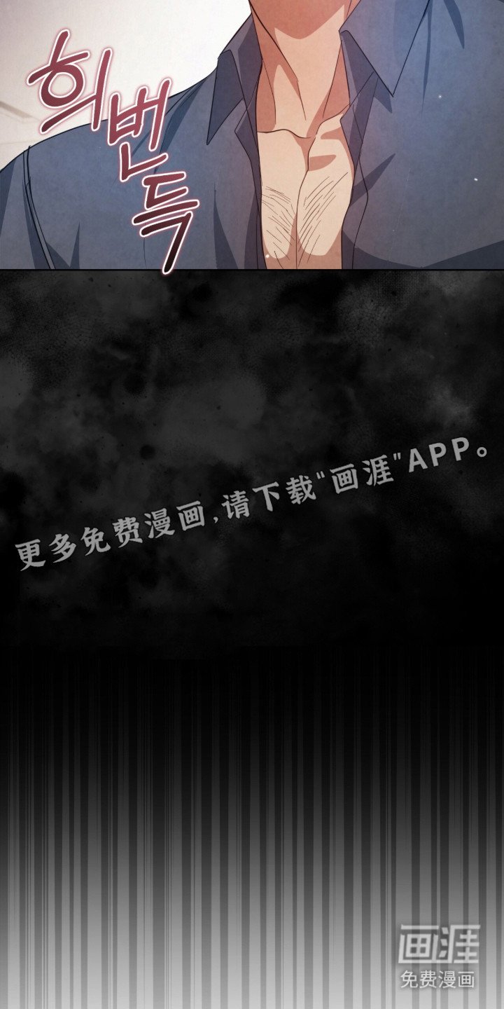 第17章：VIP