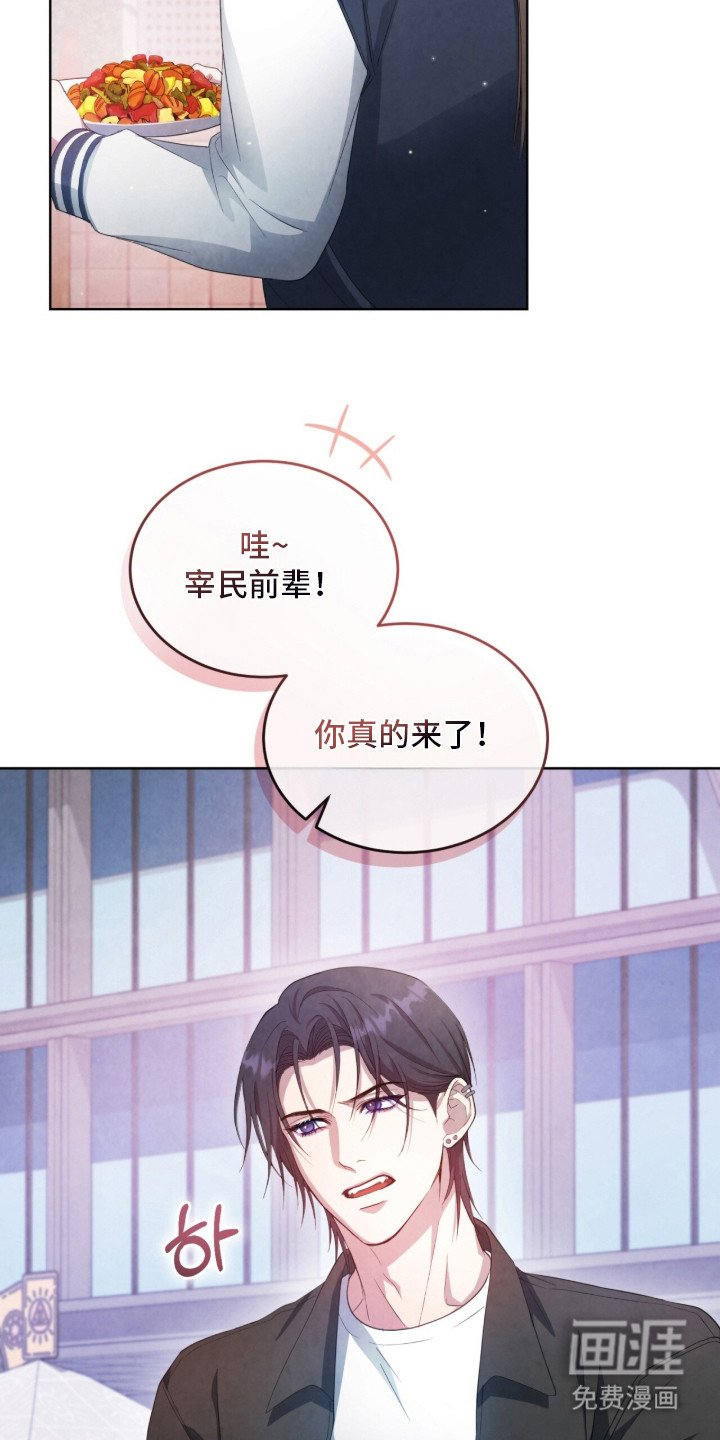 第17章：VIP