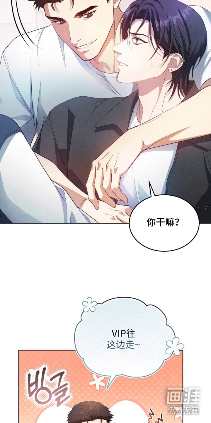第17章：VIP