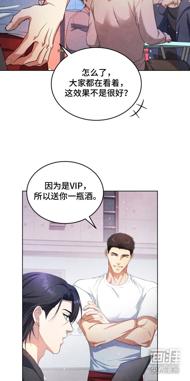 第17章：VIP