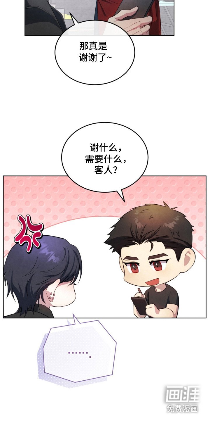 第17章：VIP