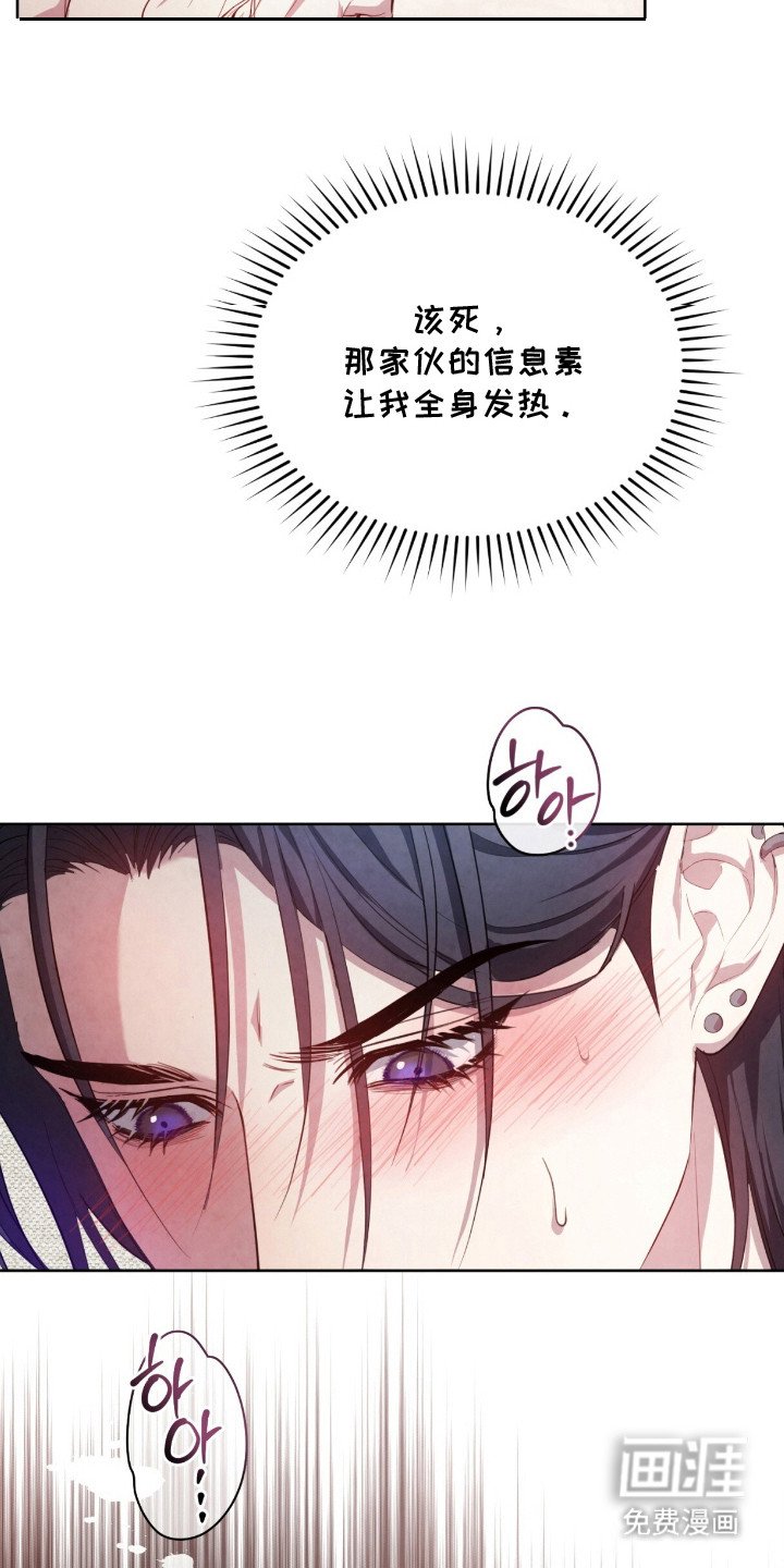 第6章：很相似
