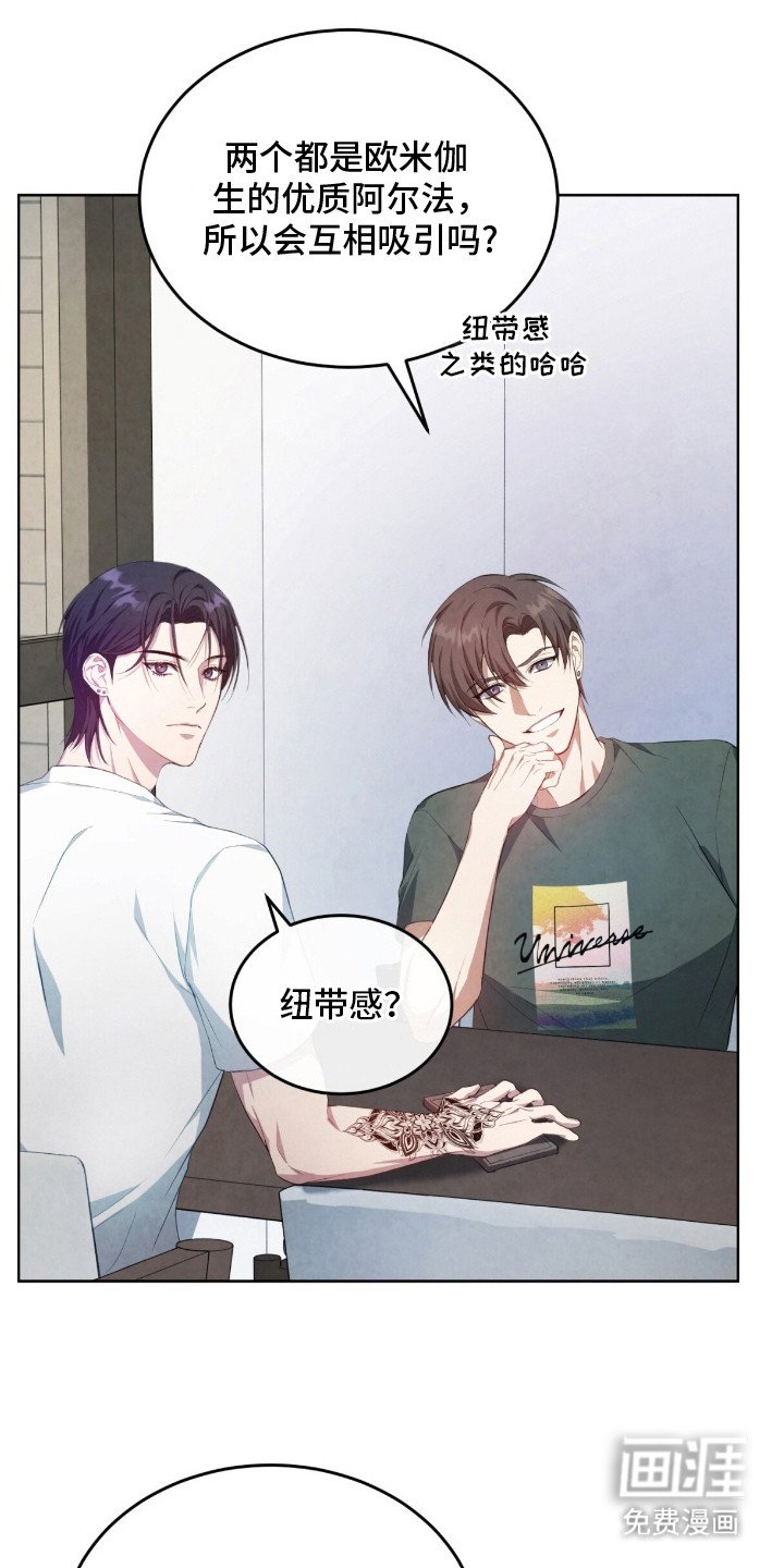 第6章：很相似