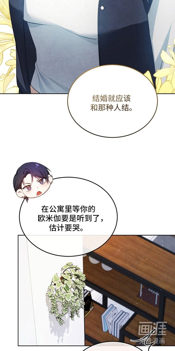 第6章：很相似