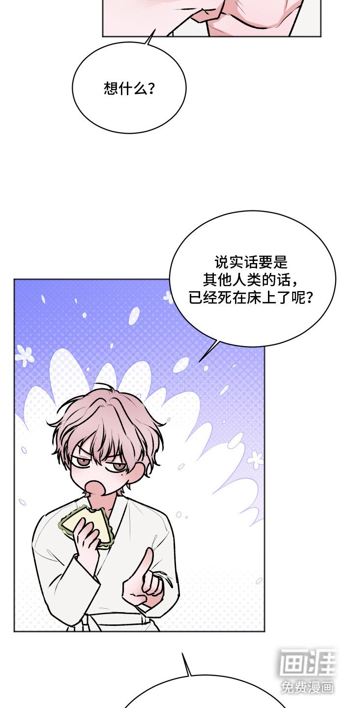 第12章：千岁生日