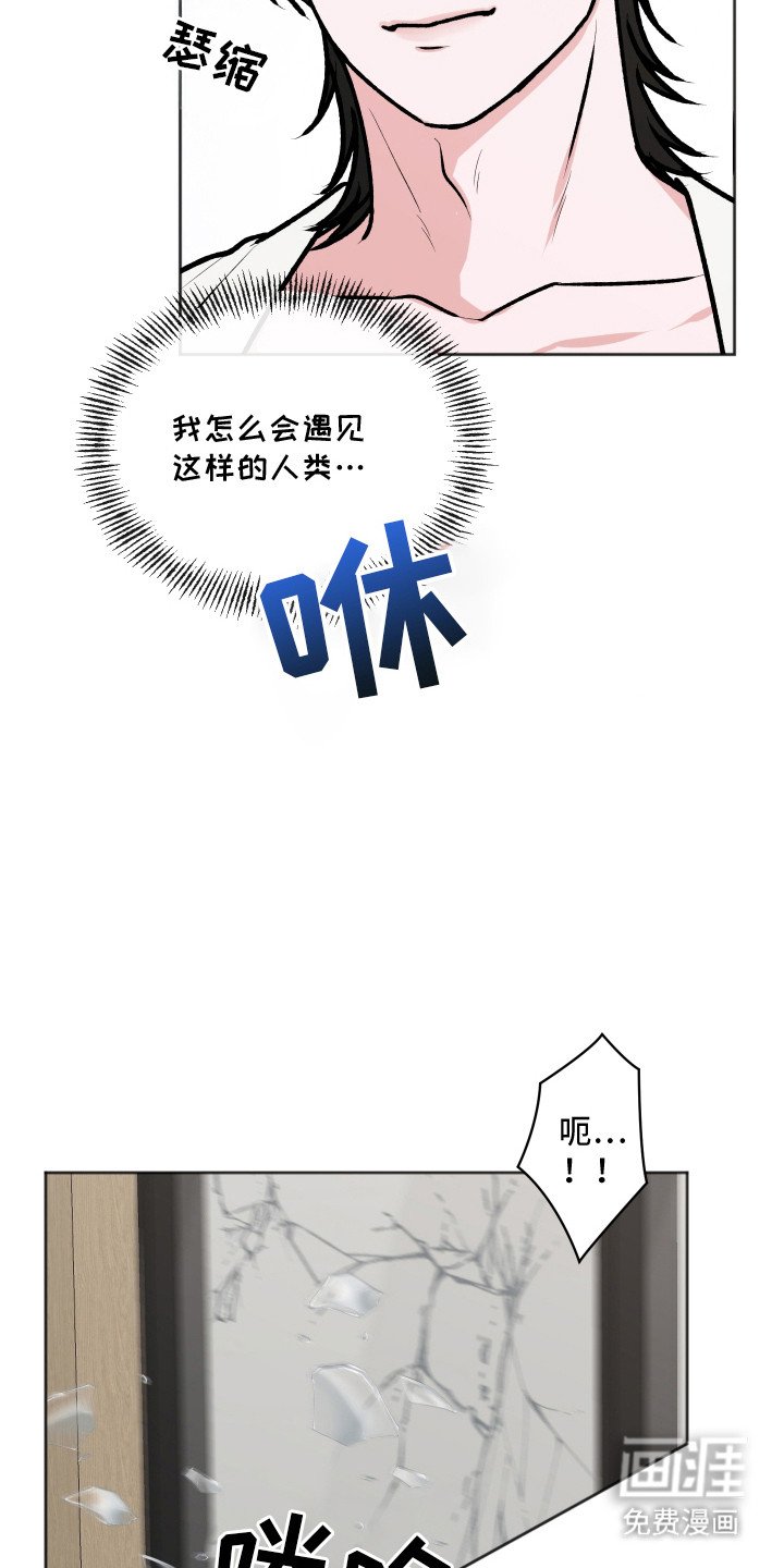 第13章：举报
