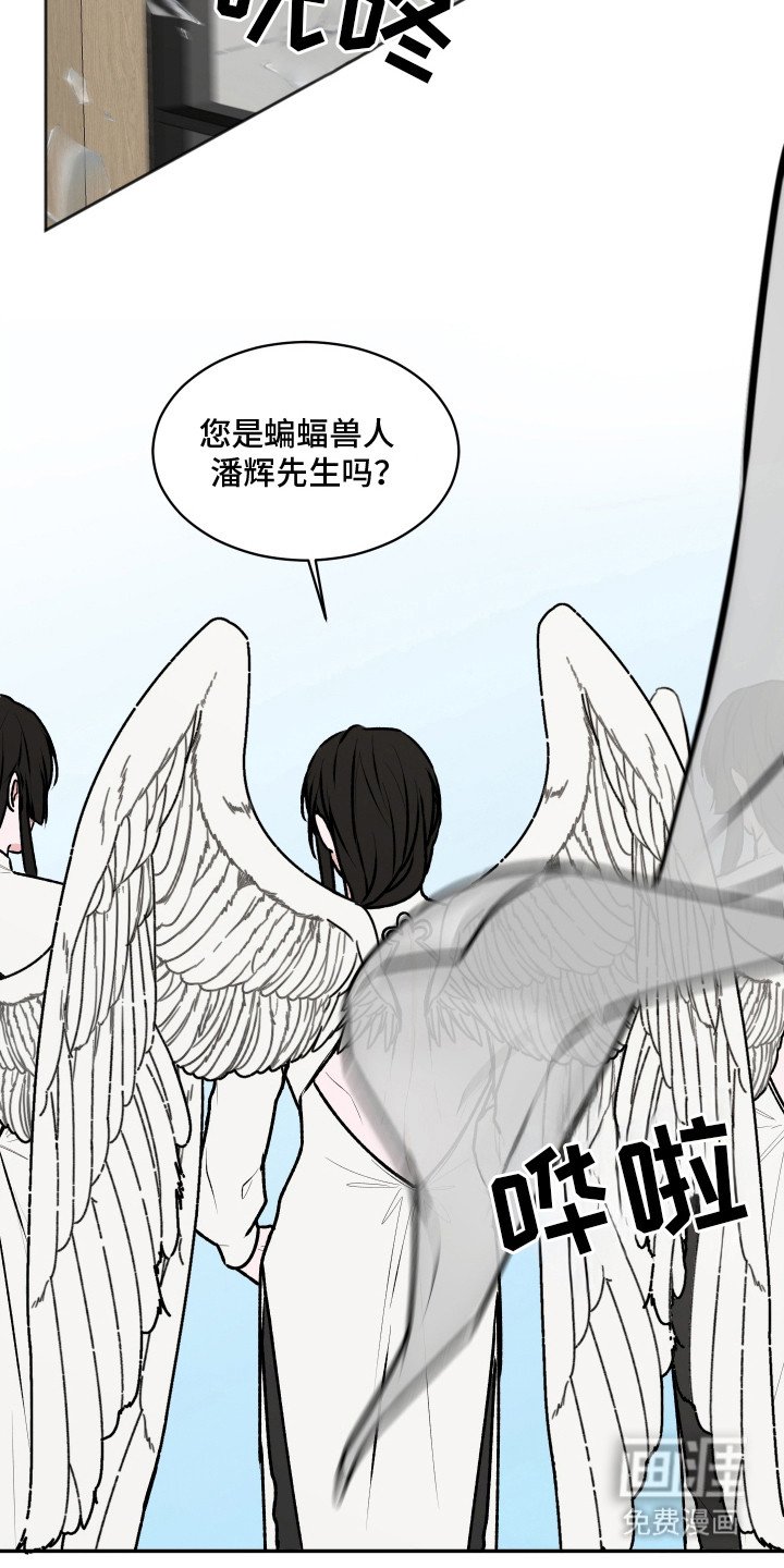 第13章：举报