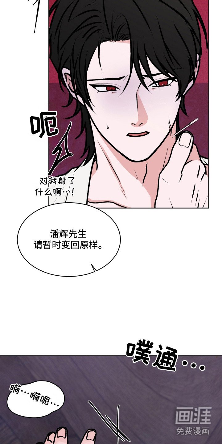 第13章：举报