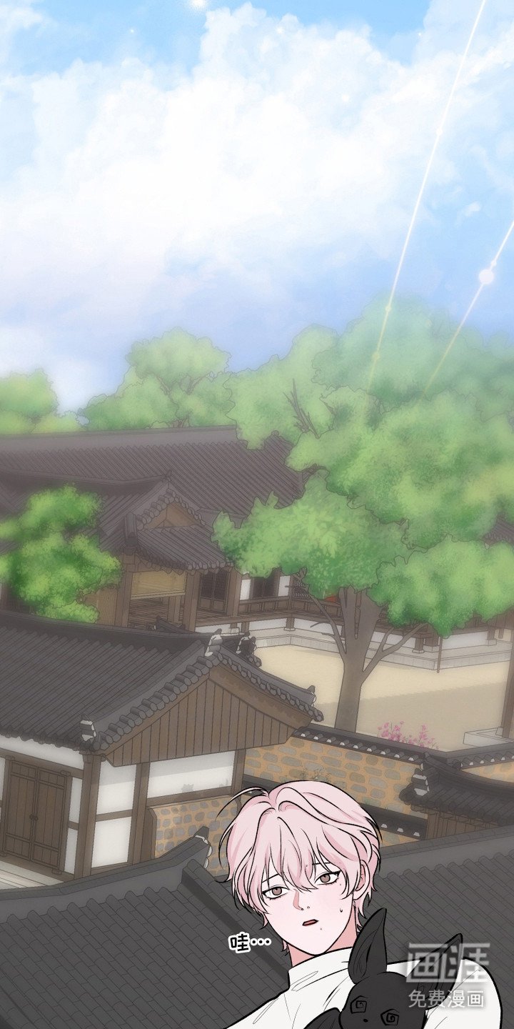 第13章：举报