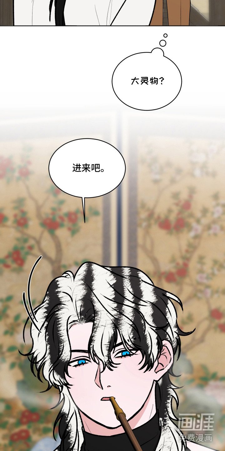第14章：大灵物