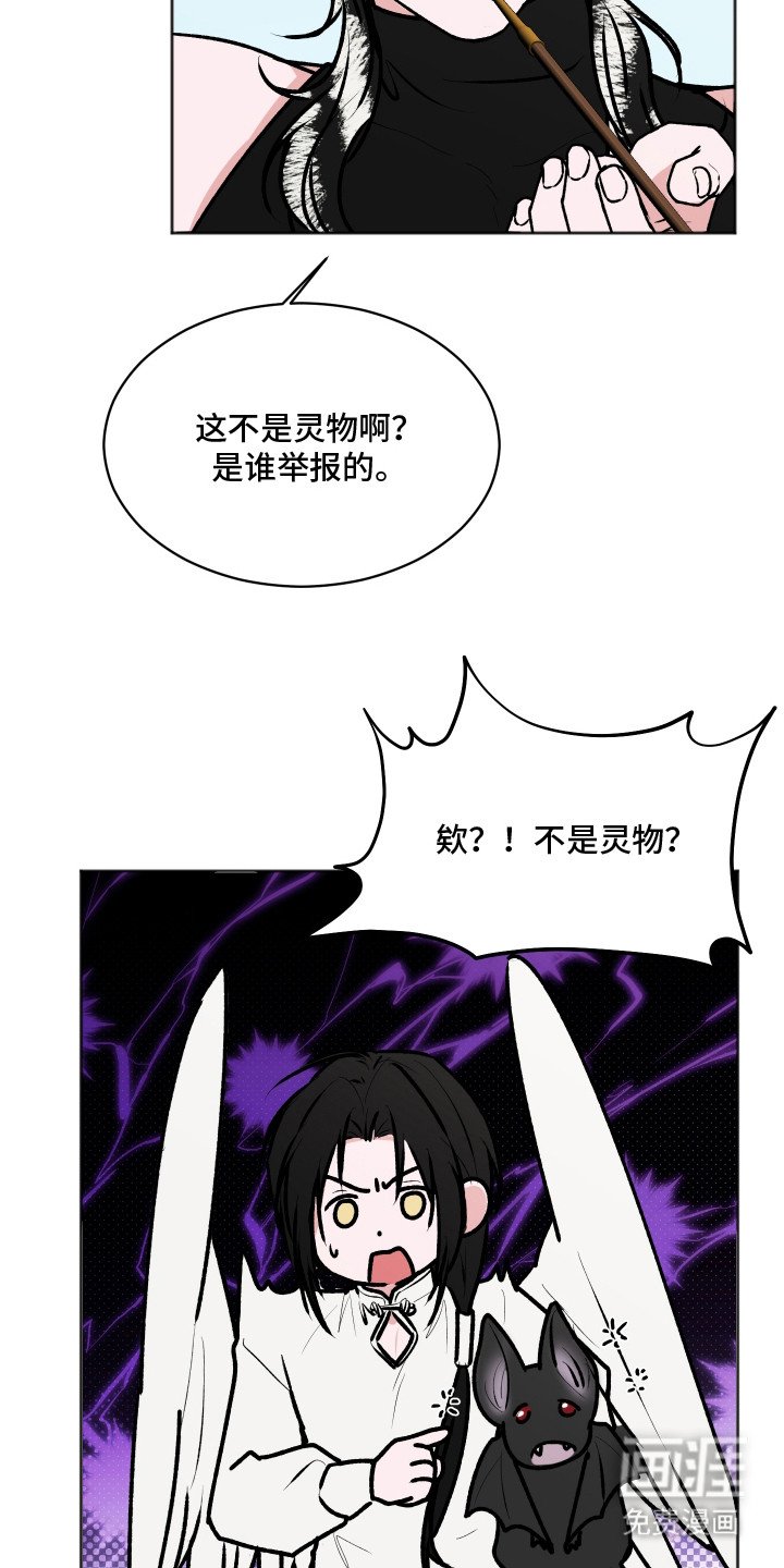 第14章：大灵物