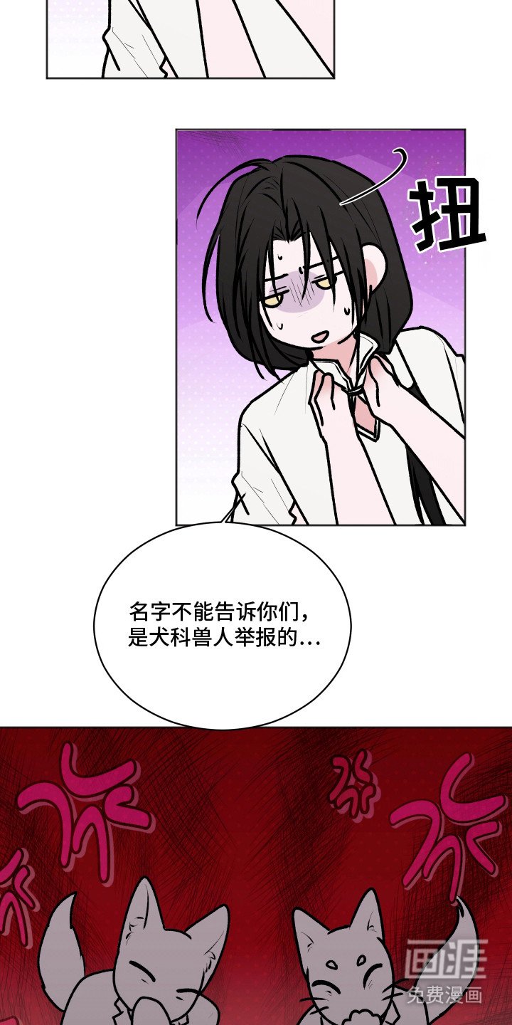 第14章：大灵物