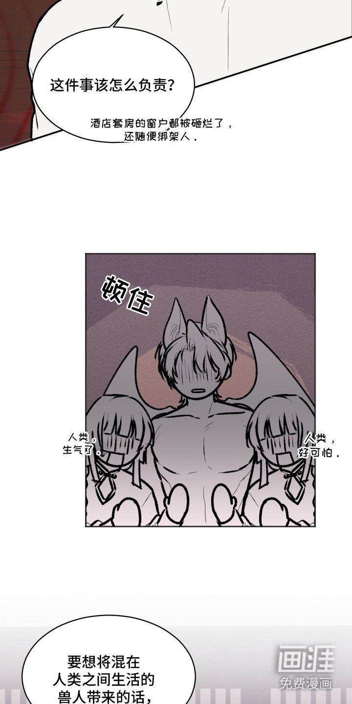 第14章：大灵物