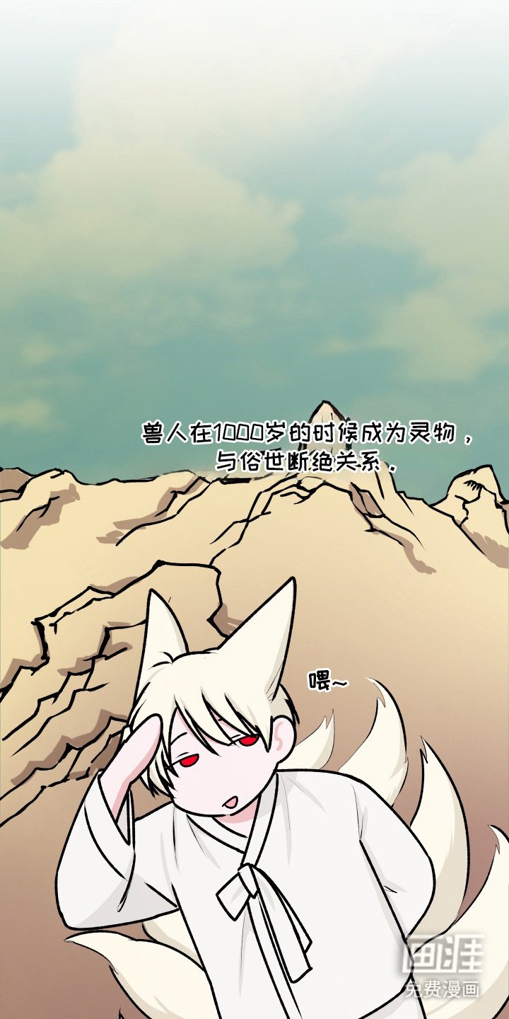 第14章：大灵物