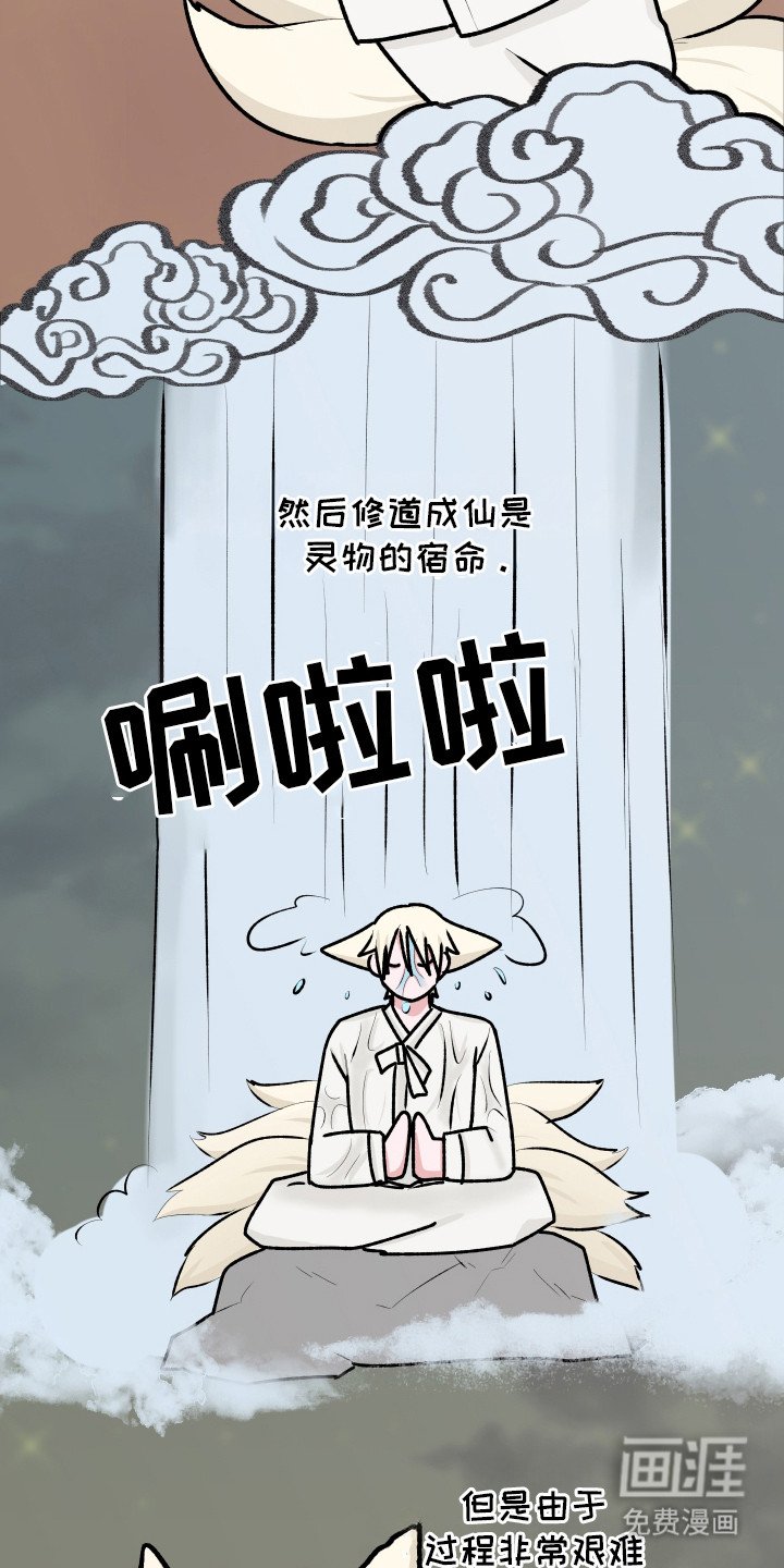 第14章：大灵物