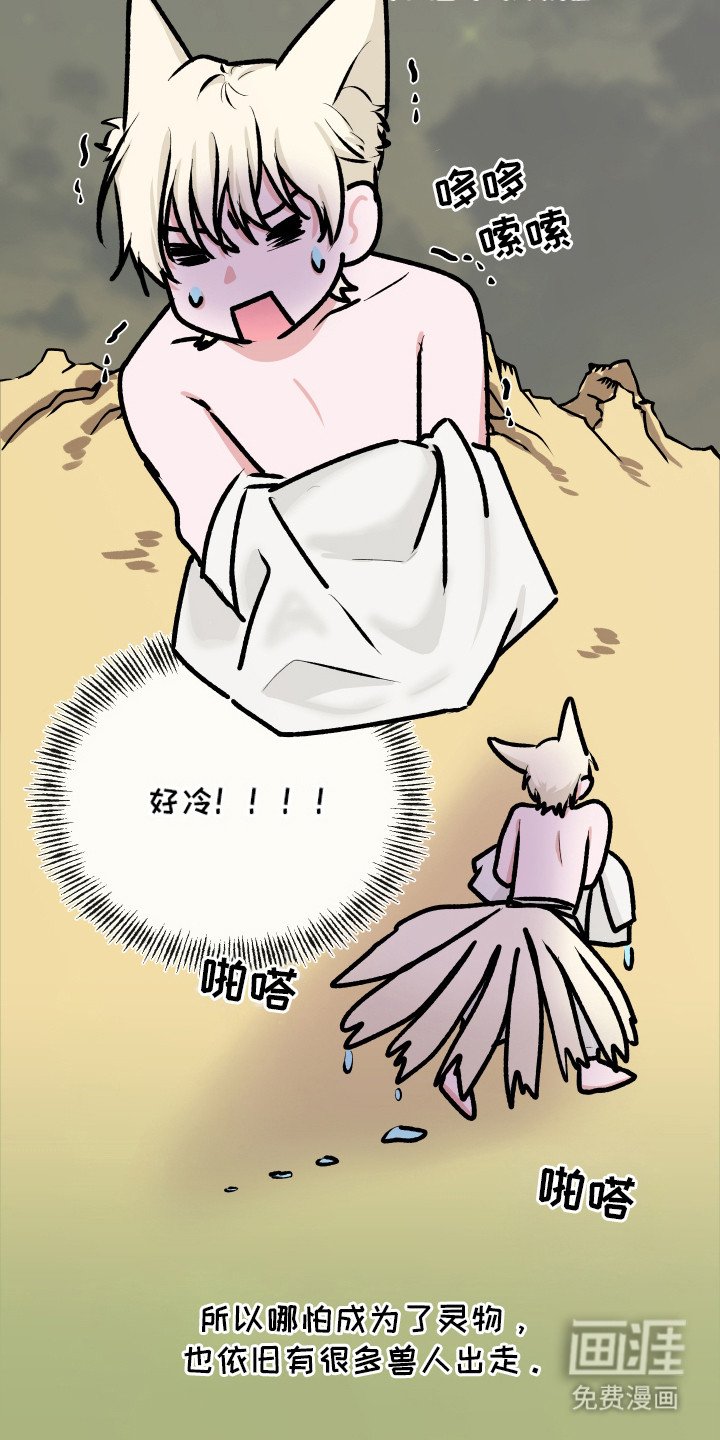 第14章：大灵物