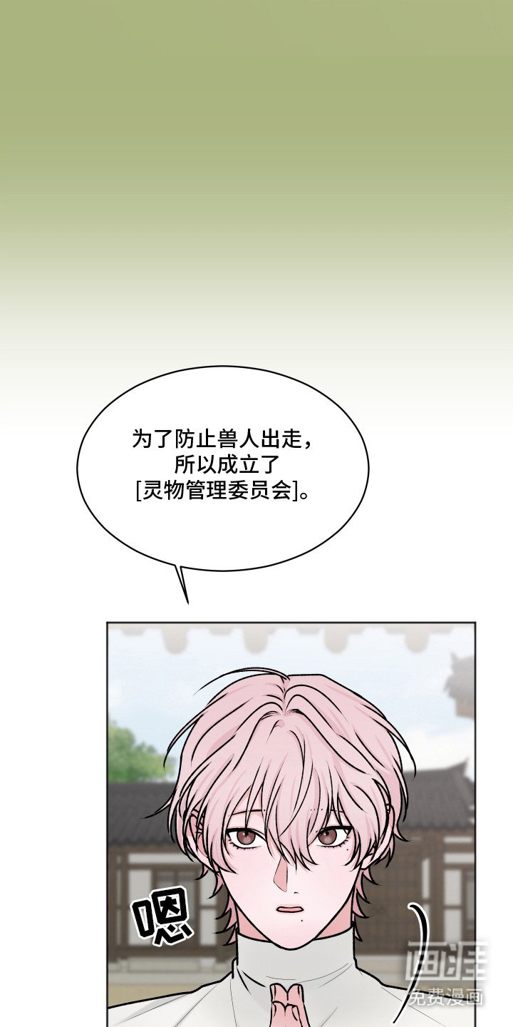 第14章：大灵物