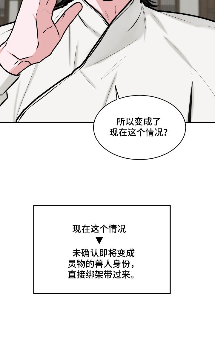 第14章：大灵物