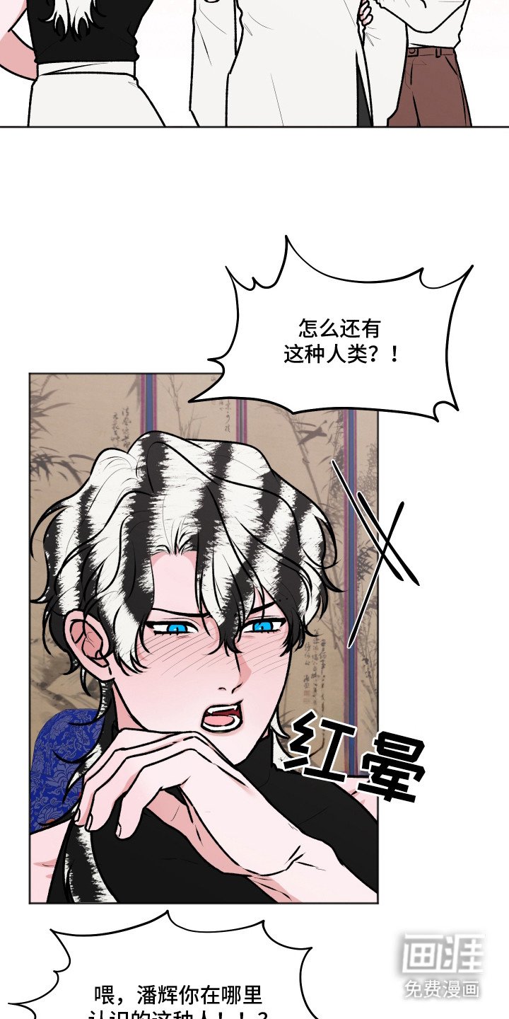 第15章：撒泼打滚