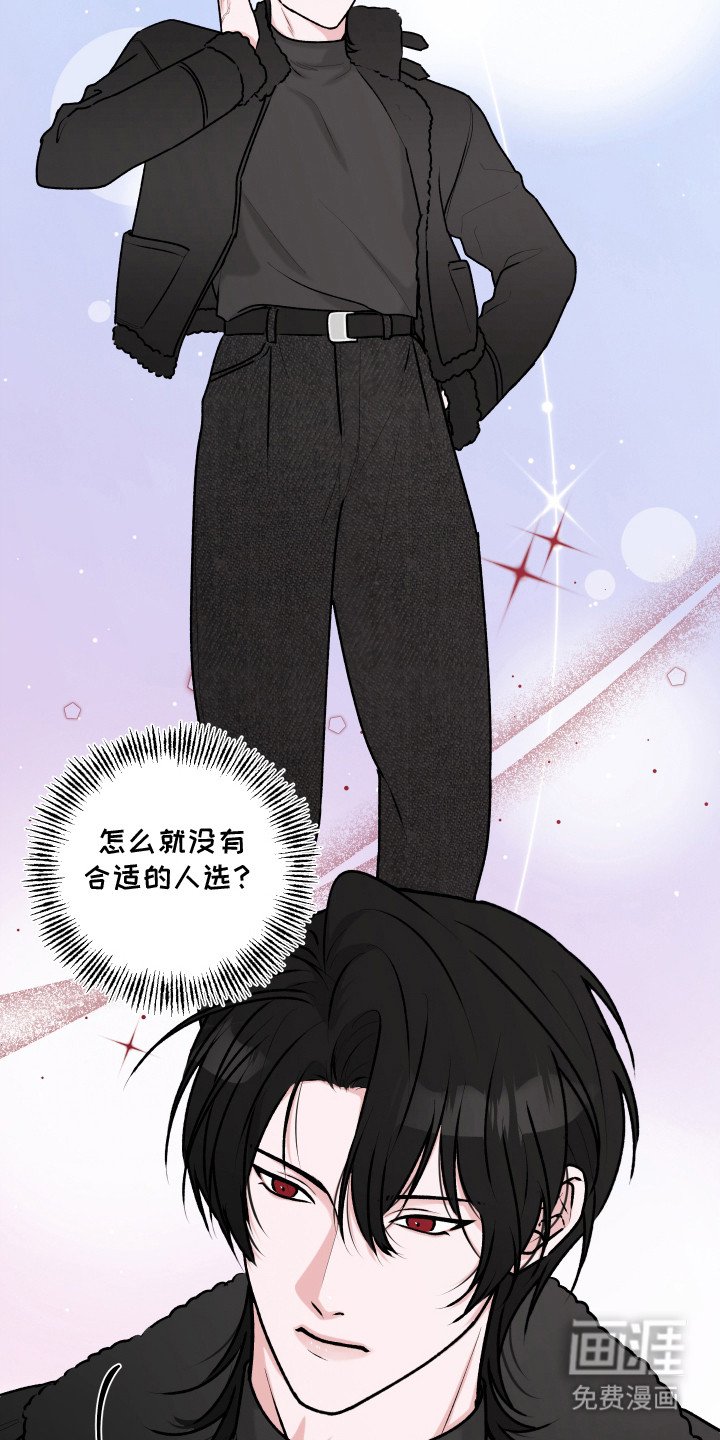 第5章：伴侣中介