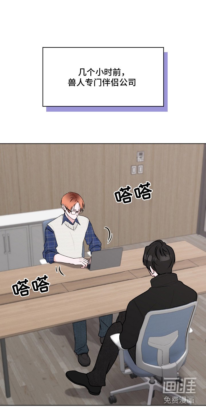 第5章：伴侣中介