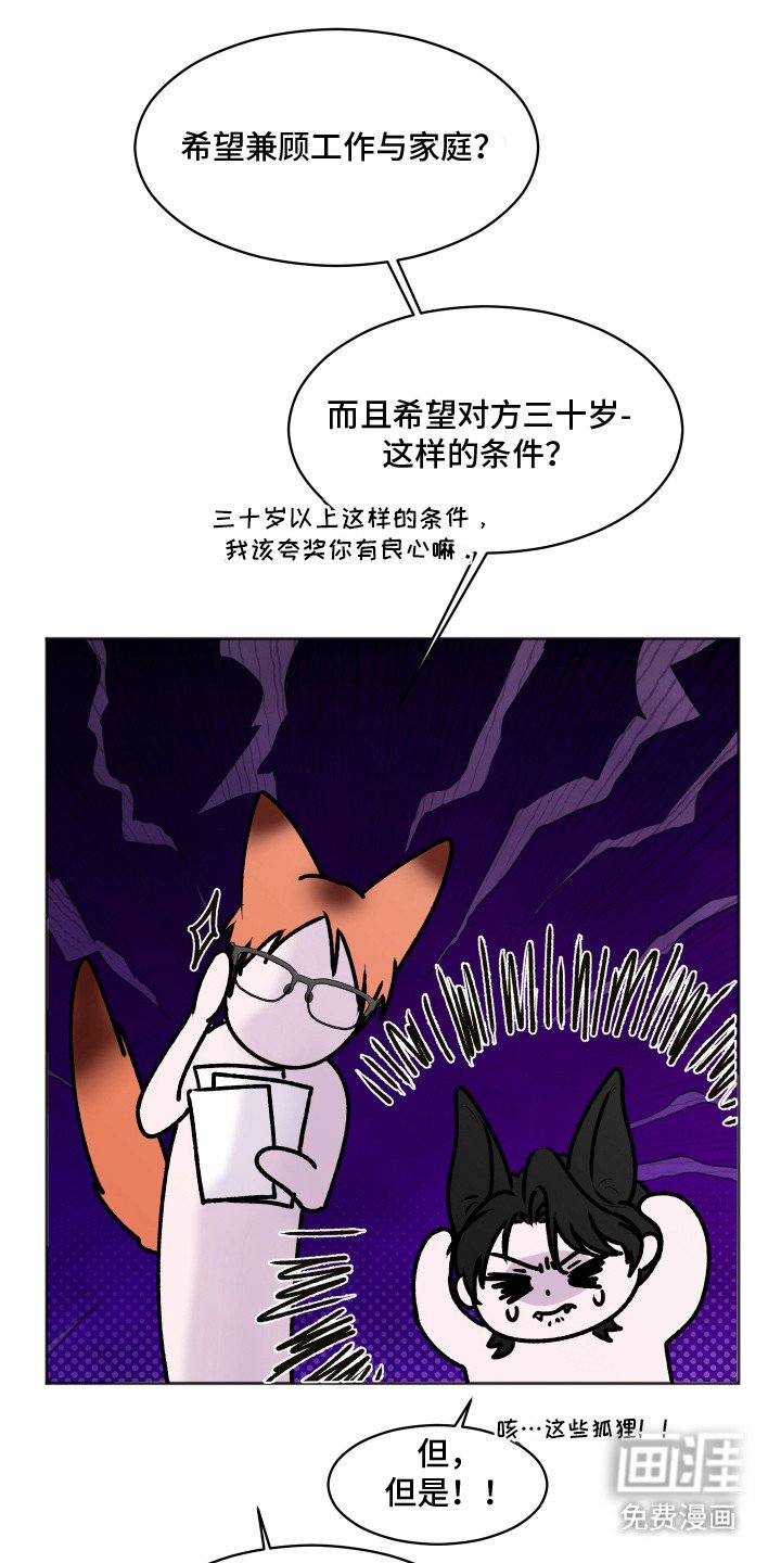 第5章：伴侣中介