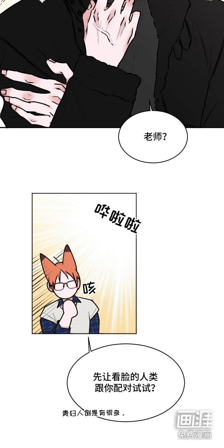 第5章：伴侣中介