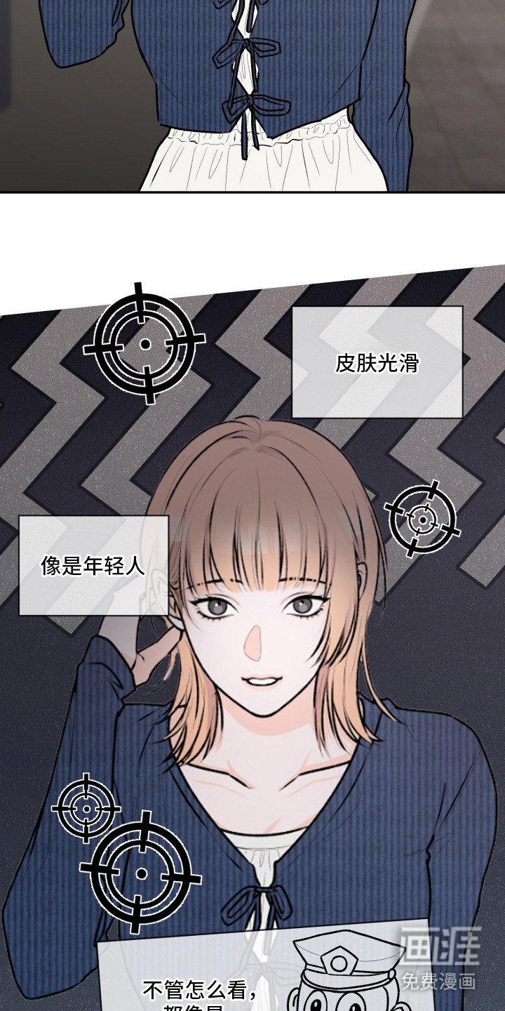 第5章：伴侣中介