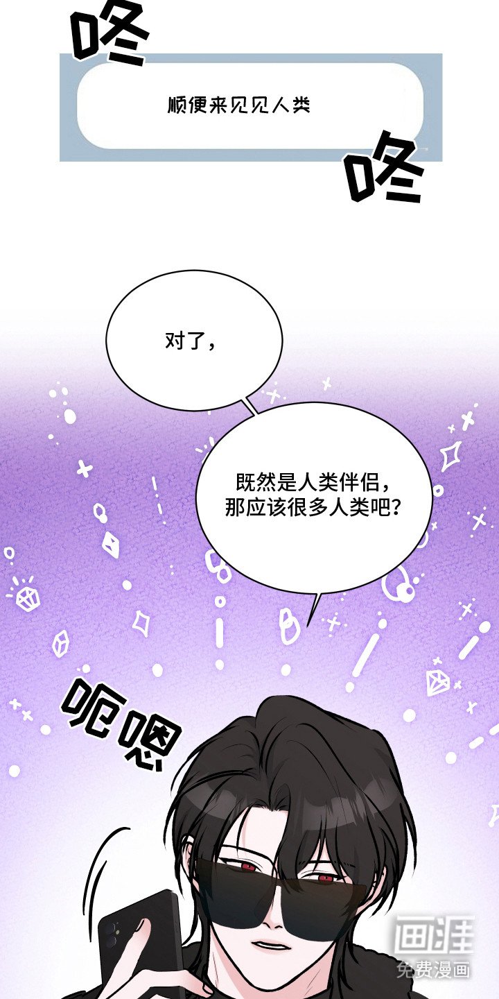 第5章：伴侣中介