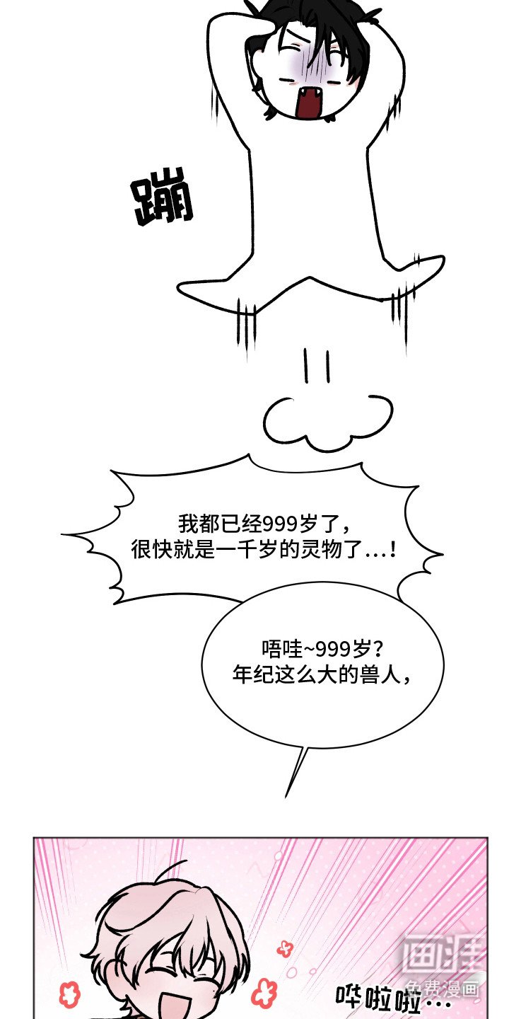 第8章：喜欢的类型