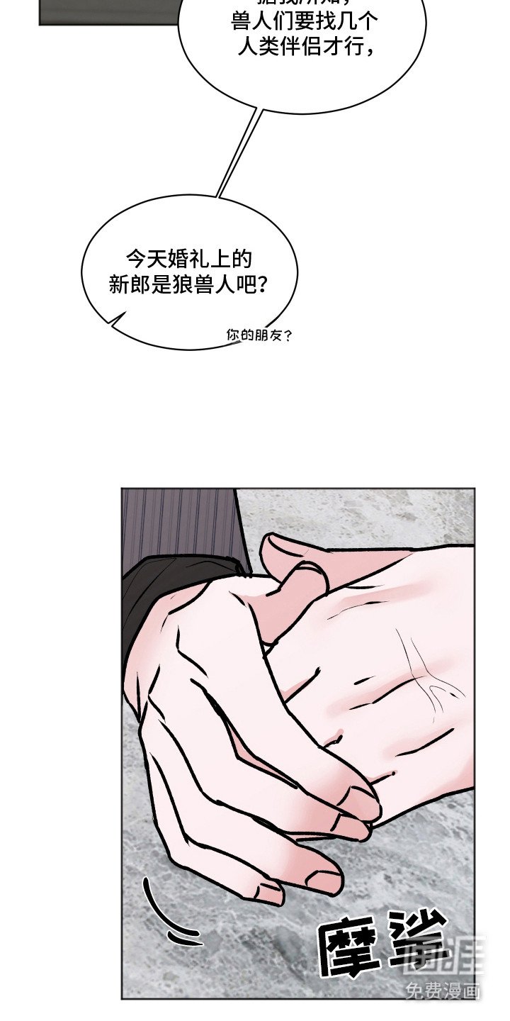 第8章：喜欢的类型