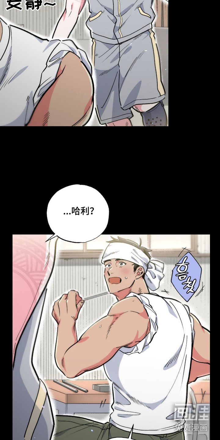 第13章：人气大爆发