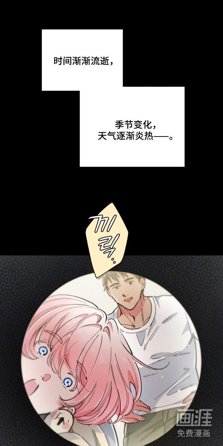 第13章：人气大爆发