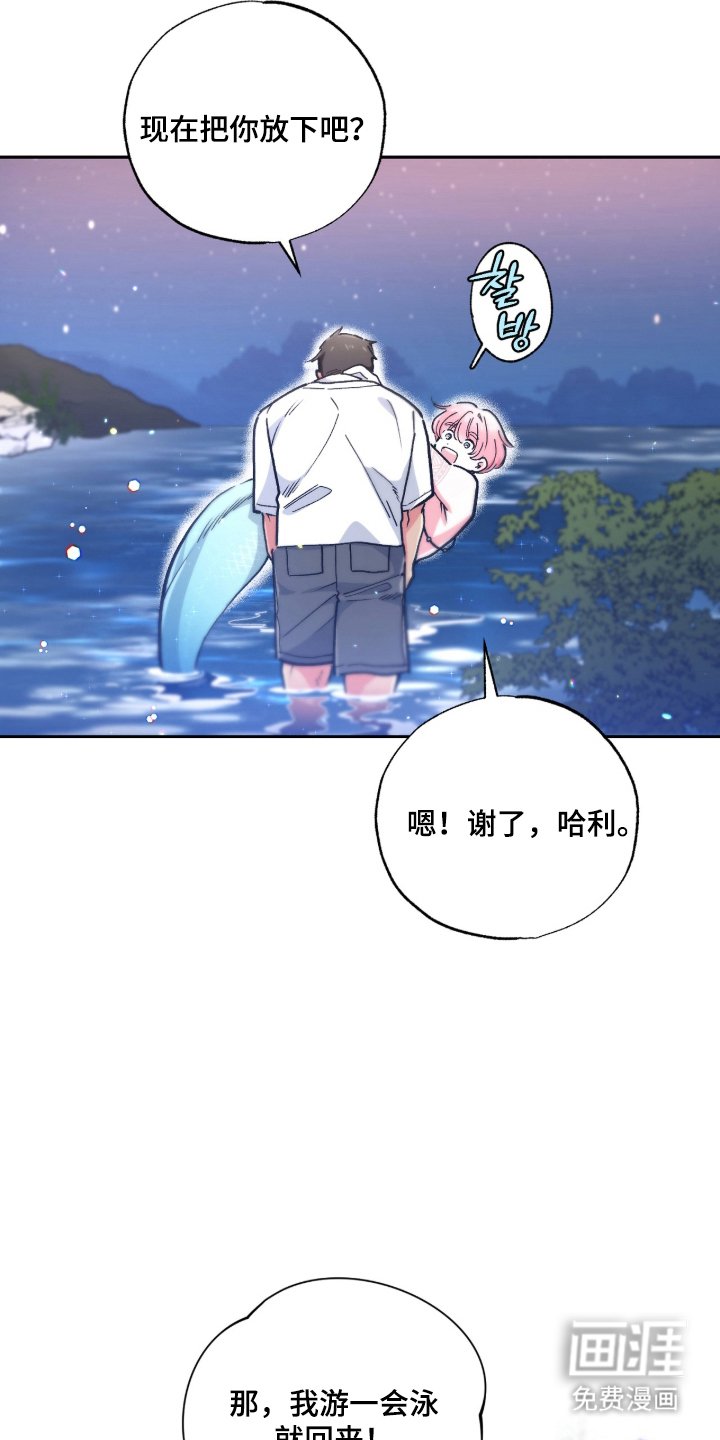 第13章：人气大爆发