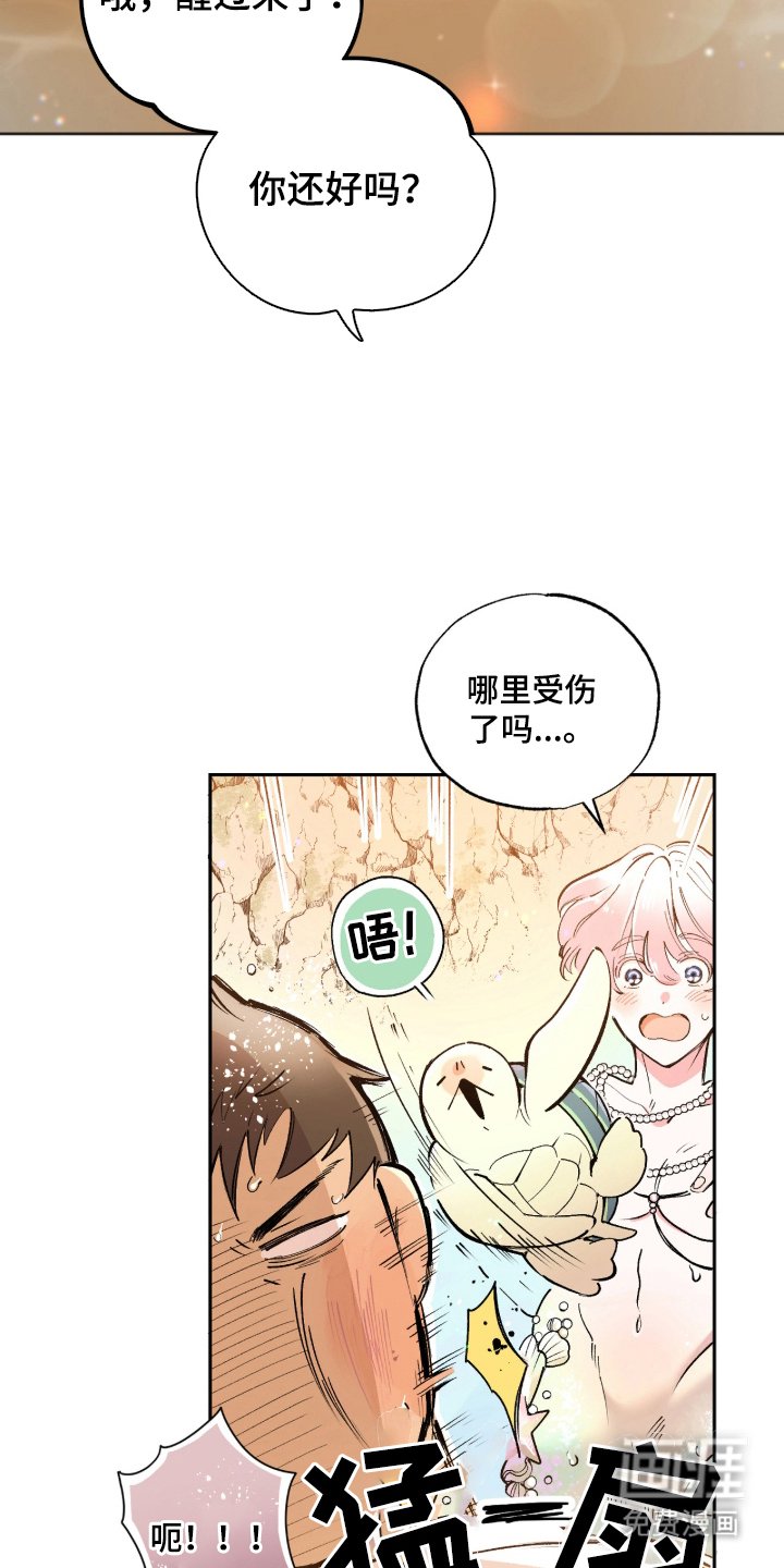 第2章：你是谁